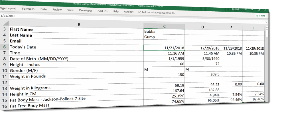 spreadsheet-measurements Spreadsheets